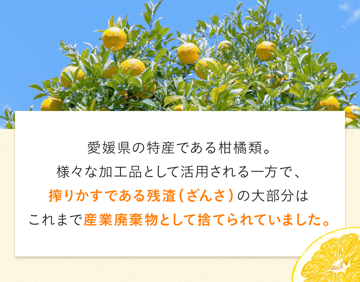 愛媛県の特産である柑橘類。様々な加工品として活用される一方で、搾りかすである残渣（ざんさ）の大部分はこれまで産業廃棄物として捨てられていました。